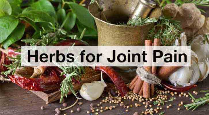 Herbs for Joint Pain- Foods and Spices for Relief