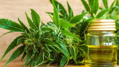 Can CBD Oil Genuinely Help Relieve Your Joint Pain?