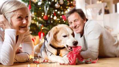 7 Simple Tips And Tricks That Will Help You Prevent Joint Pain This Christmas Season