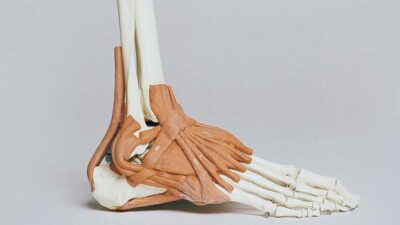 Strategies for Maintaining Healthy and Injury-Free Ankle Joints and Feet
